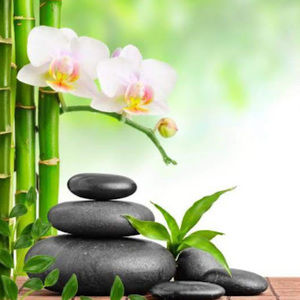 Meet your Posher, Myrna